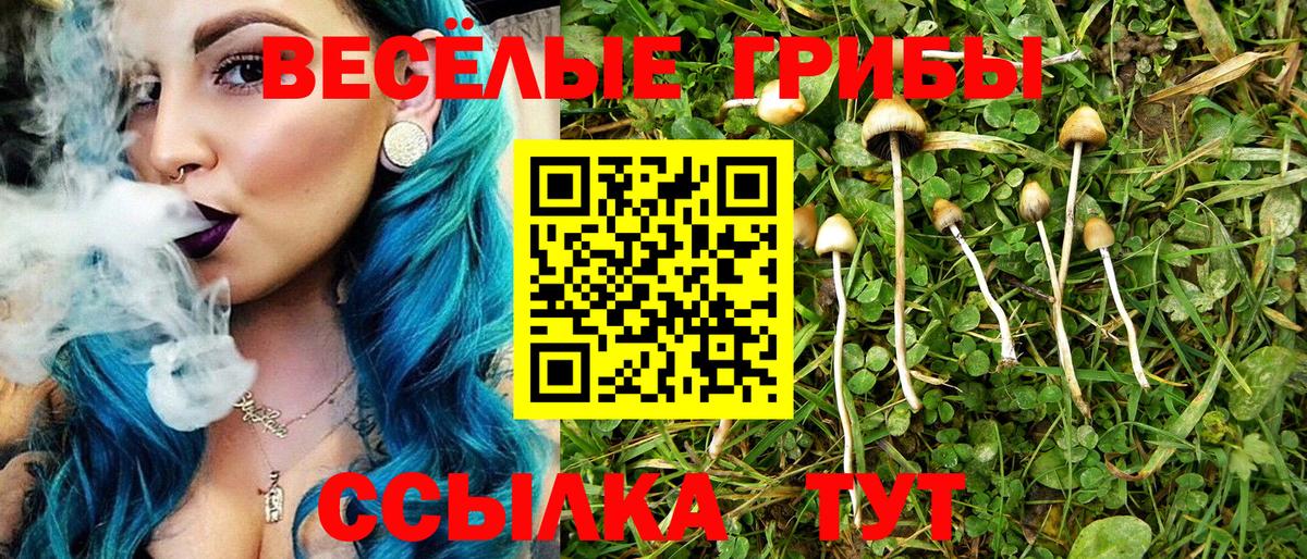 Галлюциногенные грибы мицелий Калач-на-Дону